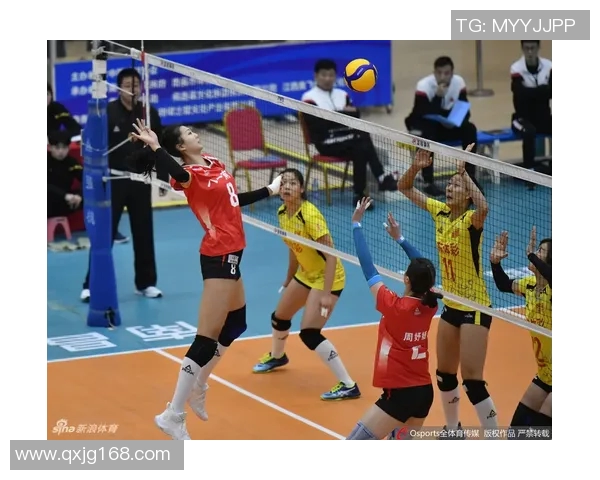 深度对话刘伟分享排球人生的奋斗与荣耀之路